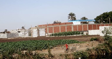 اتهامات للحكومة بالضعف فى مواجهة التعديات على أراضى الـ1.5 مليون فدان.. ومصادر: مافيا استولت على 300 ألف منها.. و"التعمير": حملات إزالة بعد توجيهات الرئيس.. وخبراء: الإزالة بالقوة الجبرية