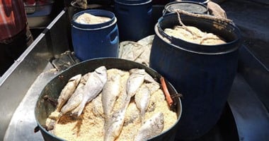 مدير الطب البيطرى بسوهاج يوضح طرق شراء الأسماك المملحة قبل عيد الفطر