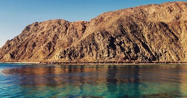 السيد عبد الكريم أحمد يكتب: رحلة خلوية