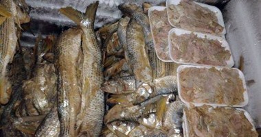 ضبط 2 طن ملح و250 كيلو رنجة فاسدة فى مصنع بكفر الزيات