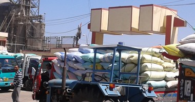 التحقيق مع حارس شونة قمح فى الشرقية بسبب استيلاء مورد على 2 طن غلة