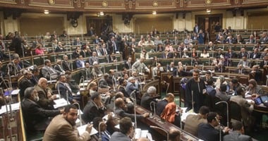 نائب برلمانى بكفر الشيخ: إقامة مركز شباب لقرية الناصرية