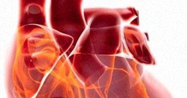 منظمة الصحة العالمية: 36 مليون مصرى معرضين للإصابة بأمراض القلب