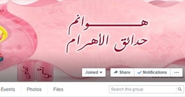 هوانم أكتوبر والجيزة تحولن لرؤساء مناطقهن بجروبات السوشيال ميديا 