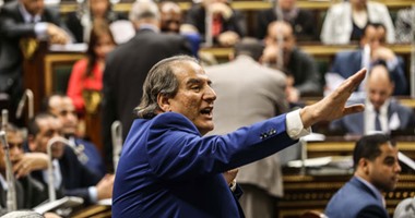 نائب: تخفيض الدعم كان حتميا منذ 30 عاما ومبارك أجله لتمرير التوريث
