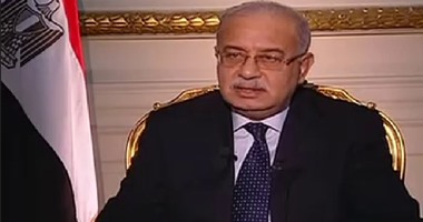 "معلومات الوزراء" عن ظهور أسماك قرش بشواطئ دمياط الجديدة: صورة مفبركة