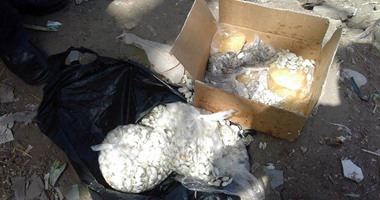 حملة صحية بدكرنس للتفتيش على محلات البقالة والمطاعم