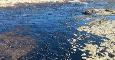ظهور تلوث بترولى جديد بشواطئ رأس غارب