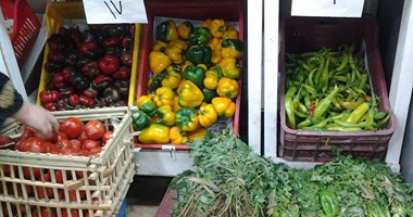 بالفيديو..هتشترى بكام النهاردة؟