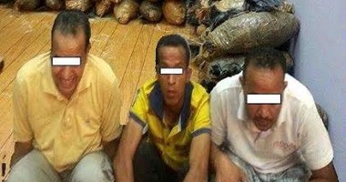 ضبط 3 سائقين بشركات سياحية وبحوزتهم 180 لفة بانجو بالغردقة