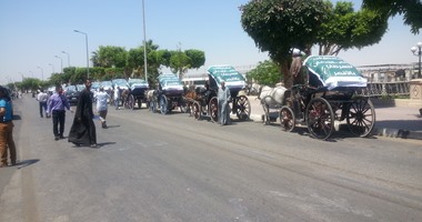 رئيس مدينة الأقصر الجديد يأمر بعدم تواجد عربات الحنطور أمام المعابد