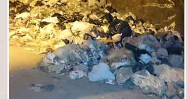 "اليوم السابع واتس آب": قمامة وكلاب ضالة داخل نفق أبو زراع بالجيزة