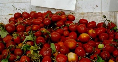 الغرفة التجارية بالشرقية تؤكد استمرار ارتفاع أسعار الطماطم
