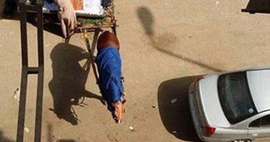 فكهانى يضع قماشة مبللة على ظهر حصانه لحمايته من أشعة الشمس