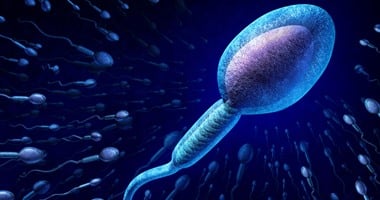 فيتامين B12 والزنك روشتة مضمونة لتعزيز إنتاج الحيوانات المنوية