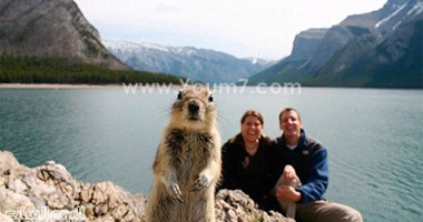 حيوانات وطيور ضيوف ظرفاء على صورة للذكرى لا تنسى