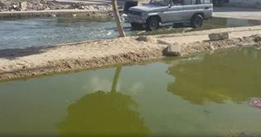 واتس آب اليوم السابع: بالصور..مياه الصرف الصحى تغرق شوارع القنطرة شرق
