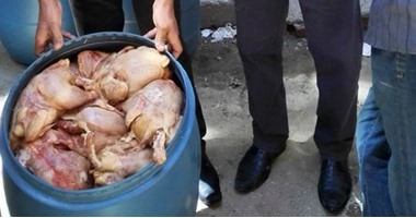 ضبط 3 أطنان دجاج وكبد وقوانص وأحشاء وأرجل منتهية الصلاحية بسوهاج
