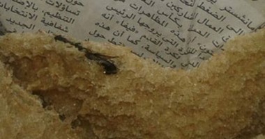 "واتس آب" اليوم السابع: قارئ يرسل صورة لـ"حشرة" فى رغيف خبز مدعم بالجيزة.. وشعبة المخابز: حادث عارض من دقيق المطاحن.. و"التموين" تطالب المواطنين بتقديم الشكاوى لمحاسبة المخالفين