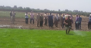 رى القليوبية تزيل 10 مشاتل أرز مخالفة وتحرر محاضر للمخالفين