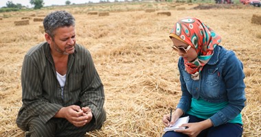 بالصور.. "عيش الغلابة" فى خطر يا حكومة.. 30 % من إنتاج القمح فى مصر "باير" بسبب رفض الجمعيات الزراعية استلامه.. وفلاحو بنجر السكر بالإسكندرية: "عليه العوض ومنه العوض مش هنزرعه تانى هنزرع فراولة"