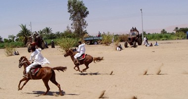 بالصور.. سباقات الخيول والتحطيب أبرز مشاهد احتفالات مولد قرية العشى بالأقصر