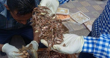 بالصور.. ضبط 3,5 طن ملوحة غير صالحة للاستهلاك الآدمى بسوهاج