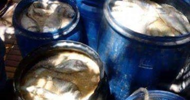ضبط طن أسماك منتهية الصلاحية بمصنع فى أبو النمرس