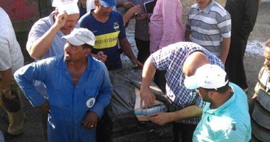 جمارك سفاجا تحبط محاولة تهريب 107 آلاف شريط تحليل سكر