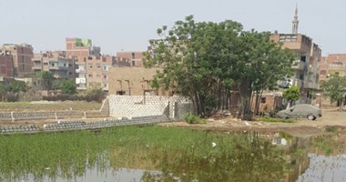 صحافة المواطن.. بالصور.. مياه الصرف الصحى تغرق أراضى زراعية بالقليوبية