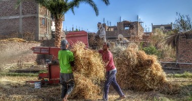 بالصور.. الفراعنة أول من اعتقد بنعم الآلهة فى مواسم الحصاد.."نبرى" إله الحصاد و"سخت" ربة الحقول..و"أوزيريس" إله الزراعة وزوجته "إيزيس" رمز الوفاء والفلاحة المصرية..و"رننوت" تحمى الحقول وتقتل الفئران