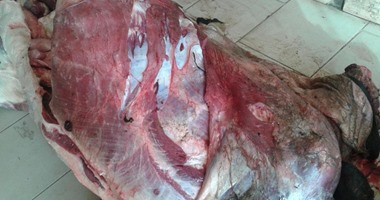 زراعة سوهاج: 25 منفذا لبيع اللحوم فى عيد الأضحى بسعر 63 جنيه للكيلو