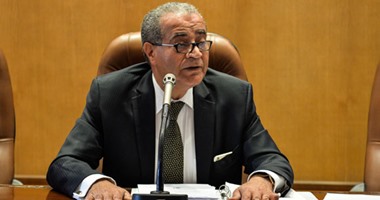 على مصيلحى يطالب بتطوير القدارت البشرية ضمن الحماية الاجتماعية