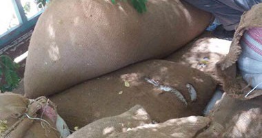 ضبط ١١١ طن قمح مجهول المصدر بالمنوفية