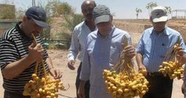المجلس التصديرى: 11% زيادة فى صادرات الحاصلات الزراعية عقب تحرير سعر الصرف