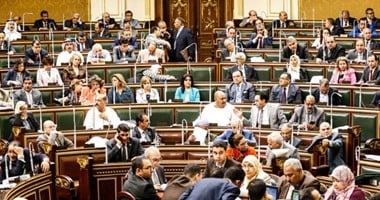 عضو بمجلس النواب: وزير الصحة نفى عرض مستشفيات التكامل للخصخصة