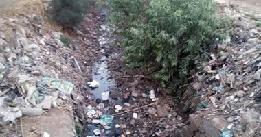 بالصور.. جفاف الترع والمصارف وبوار آلاف الأفدنة وتشقق الأراضى بكفر الشيخ.. وكيل النقابة العامة للفلاحين: أبواب المسئولين أغلقت فى وجوهنا.. والمزارعون: نروى أراضينا بالجراكن لعدم توافر مياه الرى 