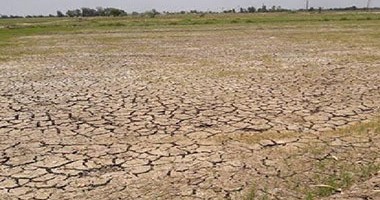 وائل عبد الودود حسين يكتب : واقع مرير
