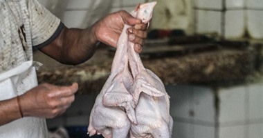 مصدر بالزراعة: اتجاه حكومى للتراجع عن إعفاء الدواجن المستوردة من الجمارك 