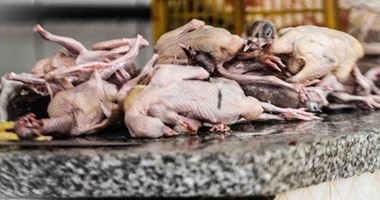 ضبط 57 كيلو دجاج ولحوم منتهية الصلاحية فى حملة تموينية بدمياط