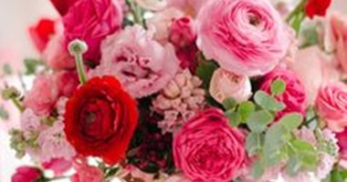 بتحب الورد طب تعرف معنى ألوانه.. تعرف على دلالات كل لون