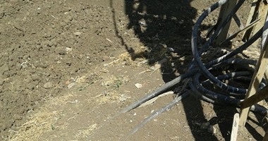 بالصور.. كابلات كهربائية تهدد بكارثة بأراضى زراعية بكفر أبو عجوة بالشرقية