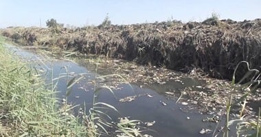 تقرير رسمى يكشف: 66 قرية بالغربية تلقى مخلفاتها بمصرف عمر بك ومنه لنهر النيل.. مصادر: نحتاج 363 مليون جنيه لإنشاء محطات معالجة ثلاثية للاستفادة منها فى الزراعة.. والكارثة تهدد بتفشى مرض الفشل الكلوى