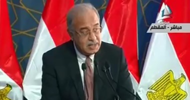3.1 مليار دولار حجم الاستثمار المباشر فى النصف الأول من العام الحالى