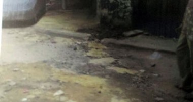 الكهرباء تستجيب لصحافة المواطن وتنهى مشكلة كابل أمام مدرسة الريحانى