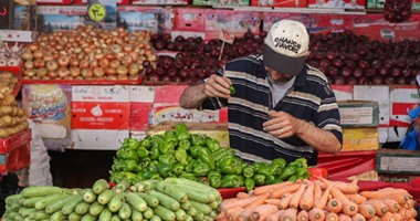 نصر فتحى اللوزى يكتب: الهيئة القومية للغذاء هى الحل