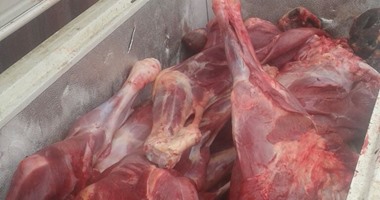 ضبط حمار مذبوح قبل بيعه للمواطنين بالمنيا