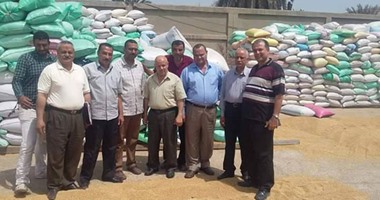 "الزراعة": استلام 3 مليون و678 ألف طن قمح محلى من المزراعين