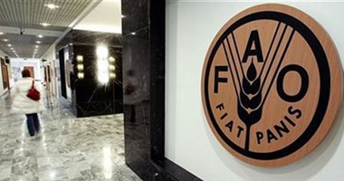  تعرف على أبرز مشروعات منظمة الأغذية والزراعة فى مصر فى ذكرى 74 عاما من التأسيس