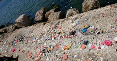 صحافة المواطن: ملاك قرية النخيل بالإسكندرية يشكون انتشار الفوضى